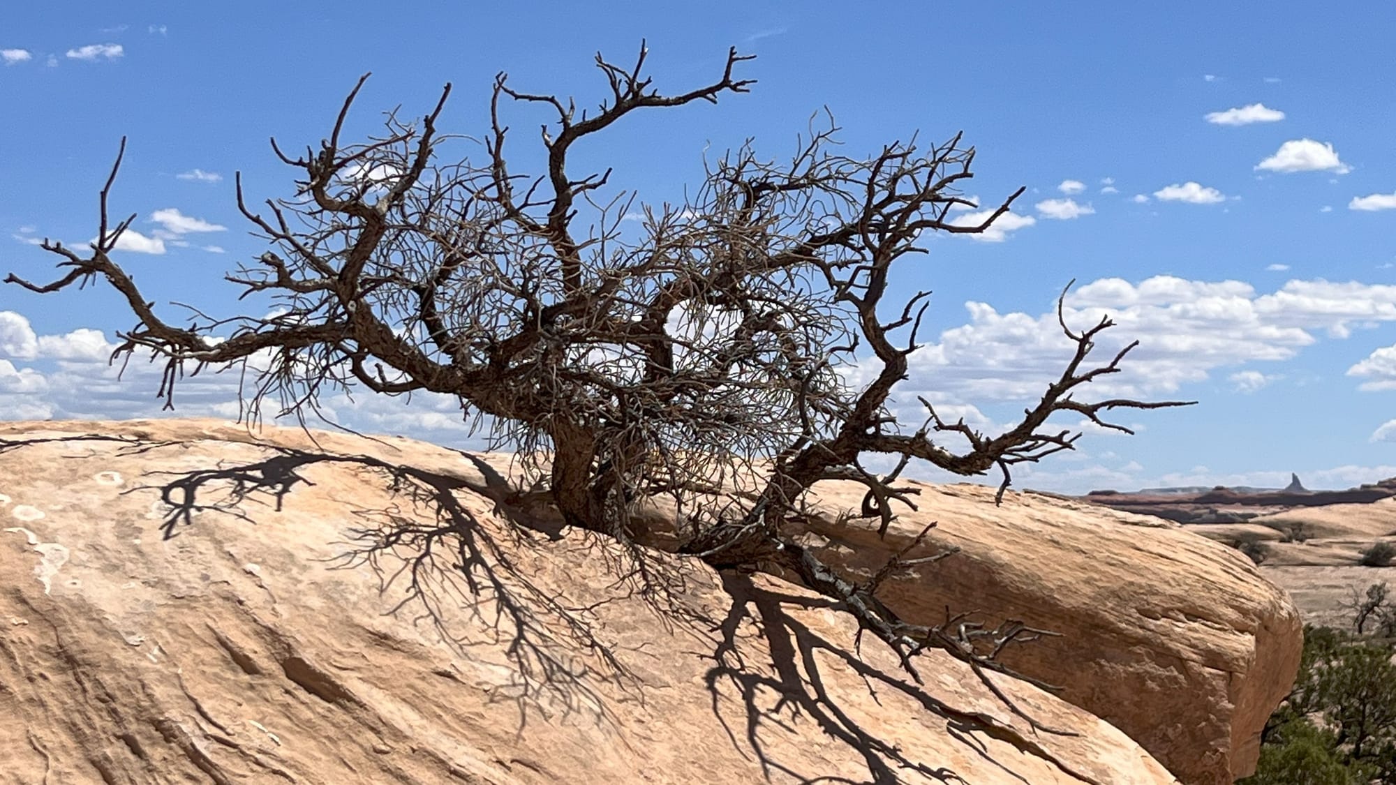Canyonlands National Park: A First-Timer’s Guide to Utah’s High Desert Trails Post image