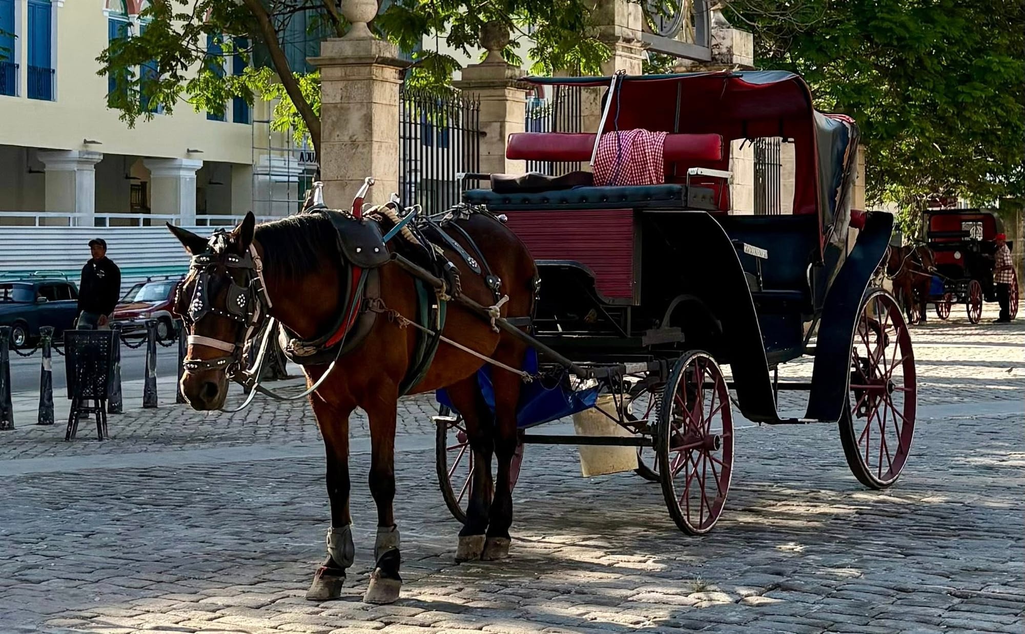 Dancing Through Havana: How to Travel to Cuba as an American Post image
